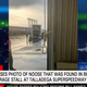 Image for article titled So NASCAR's Official Response to Bubba Wallace Was 'We Just Have Random Nooses Around Sometimes' and That's It???